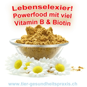 Powerfood - hochdosiertes Vitamin B-Komplex & Biotin