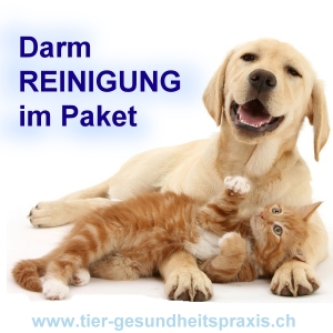 Darmreinigungspaket