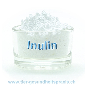 Darmpflege - natrliches Inulin - prebiotischer Futterzusatz