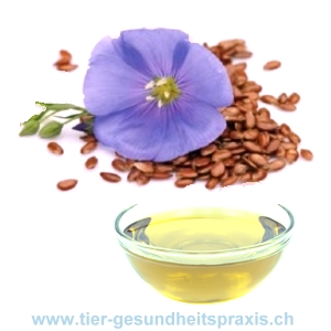 Leinl BIO, kaltgepresst - 100 % naturrein - frisch ab Presse!