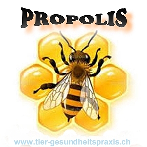 Propolis in bester Imkerqualität - die Hausapotheke des Bienenvolkes!
