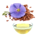 Leinl BIO, kaltgepresst - 100 % naturrein - frisch ab Presse!